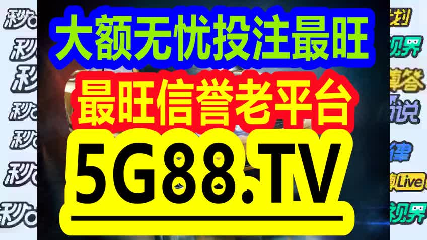 管家婆一码中一肖2024｜精选解释解析落实